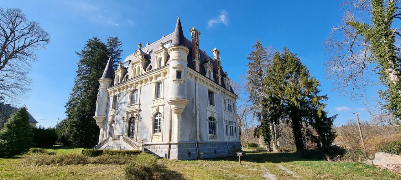 Chateau De Chazelpaud Saint-Bard Exteriér fotografie